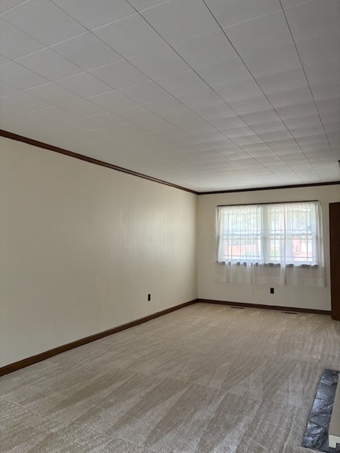 Gallery Photo 11